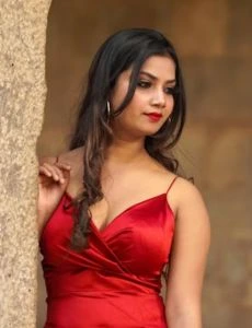 call girl service in Amirgadh